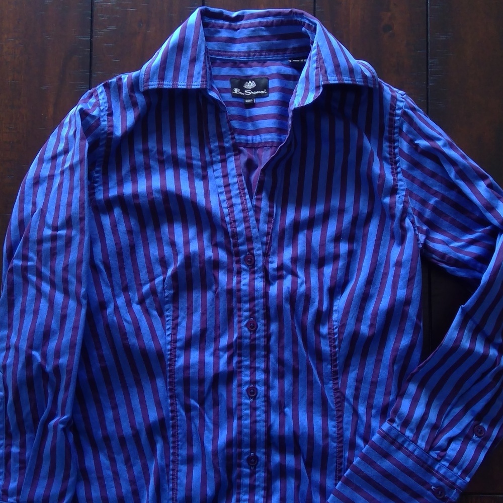 Anthropologie Blue and Purple Striped Button-Down Shirt